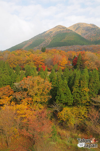 บรรยากาศบริวเณสะพานใกล้กับวัดคนโกโฮจิ(Kongōhō-ji Temple) บนถนน Old Oguni