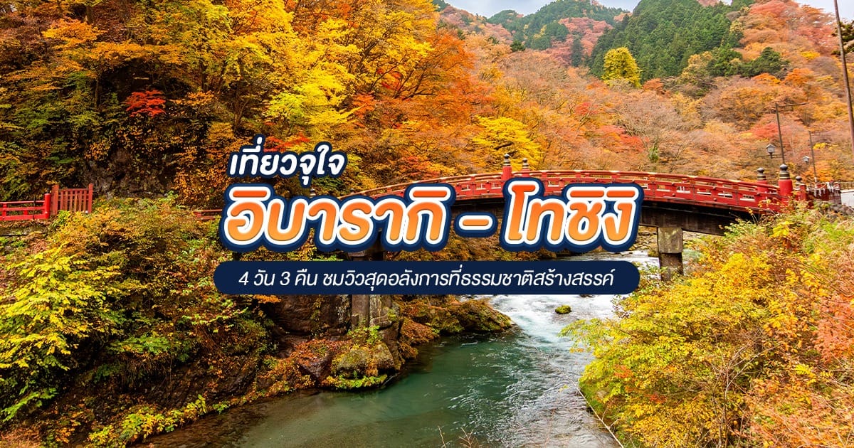 แพลนเที่ยว อิบารากิ – โทชิงิ 4 วัน 3 คืน : รวมทุกสถานที่ที่ห้ามพลาด