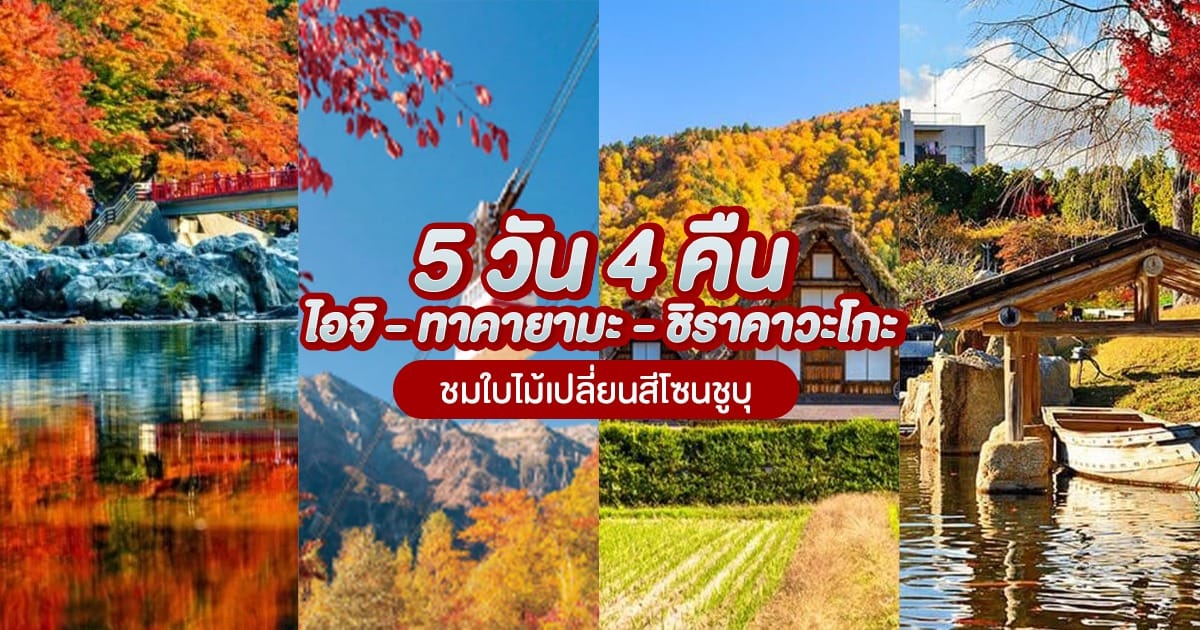 5 วัน 4 คืน ไอจิ – ทาคายามะ – ชิราคาวะโกะ ชมใบไม้เปลี่ยนสีโซนชูบุ