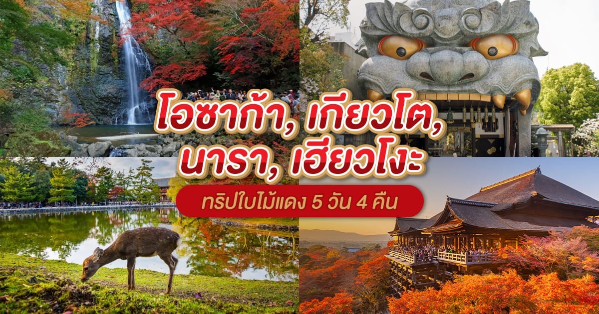 5 วัน 4 คืน โอซาก้า – เกียวโต – นารา – เฮียวโงะ ทริปใบไม้แดงต้องไป