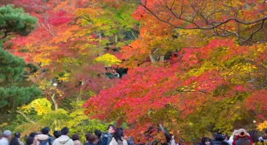 Kodaiji Temple